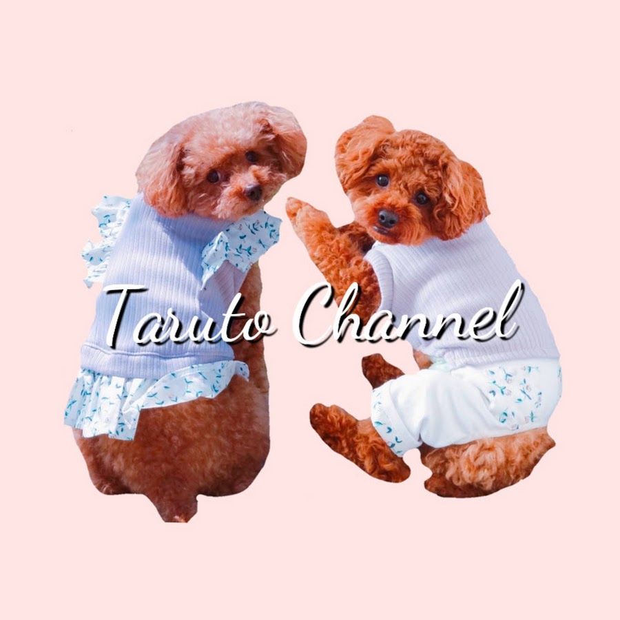   Taruto Channel - YouTube