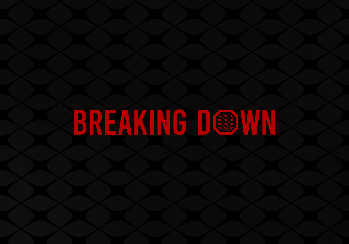 BreakingDown / ブレイキングダウン