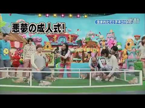 相葉雅紀 動物まとめ - YouTube