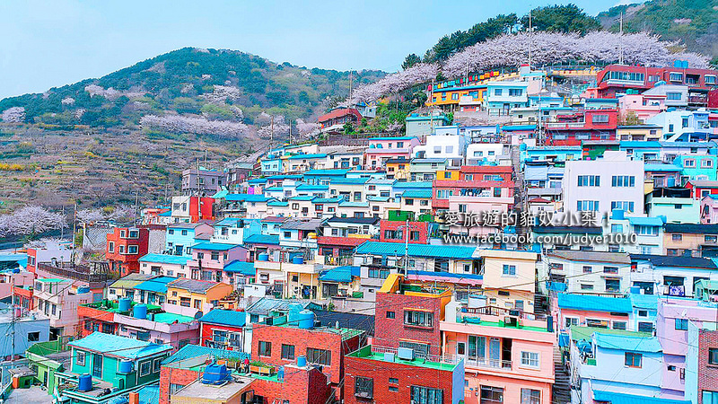 第36位：甘川洞文化村（釜山広域市）