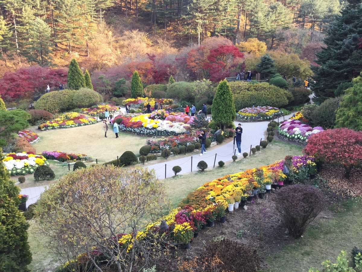 第10位：アチムゴヨ樹木園（京畿道加）