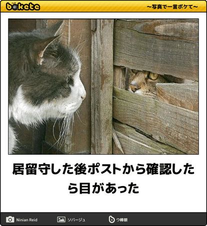 事務所によって取り分は違う！