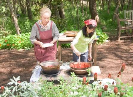 「西の魔女が死んだ」あらすじ