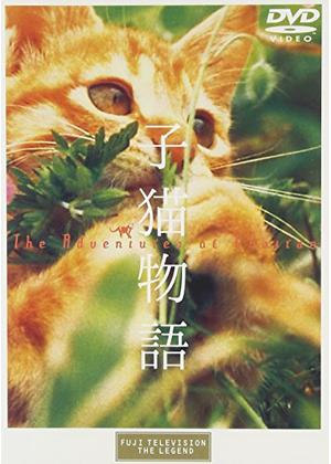 第33位 子猫物語