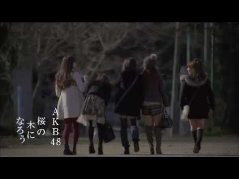 【MV full】 桜の木になろう / AKB48 [公式] - YouTube