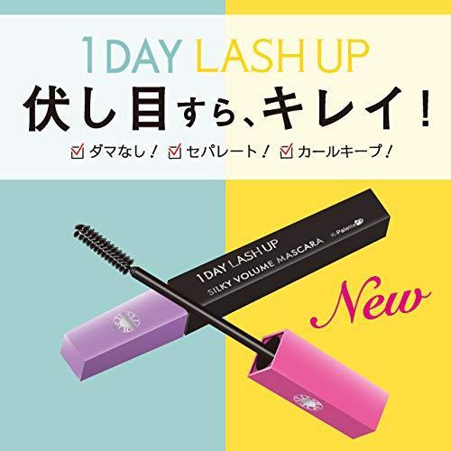 第6位：K-パレット(K-Pallete) 1DAY LASH UP シルキーロングマスカラ