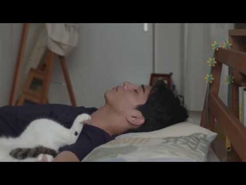 東出昌大＆猫のNGシーン！『寝ても覚めても』ジンタンメイキング映像 - YouTube