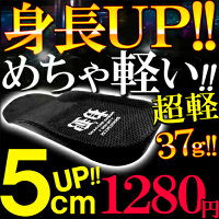 TOP4：当店だけ NEOインソール 超軽量37g 衝撃吸収 1cm 2cm 3cm 4cm 5cm 身長アップ 身長UP シークレット クッション 中敷き シークレットインソール シークレットシューズ 身長アップ メンズ レディース かかと