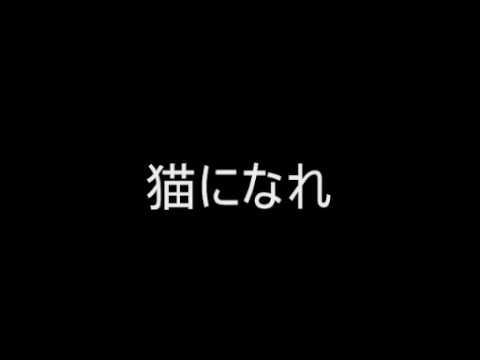 第２７位　猫になれ