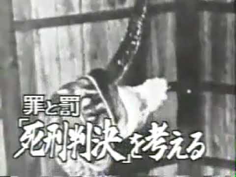 名古屋アベック殺人事件　一審判決後の報道 - YouTube