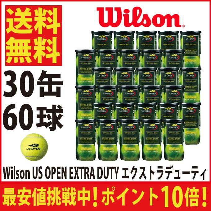 ウィルソン(Wilson) USオープン エクストラ デューティ 2球×30缶