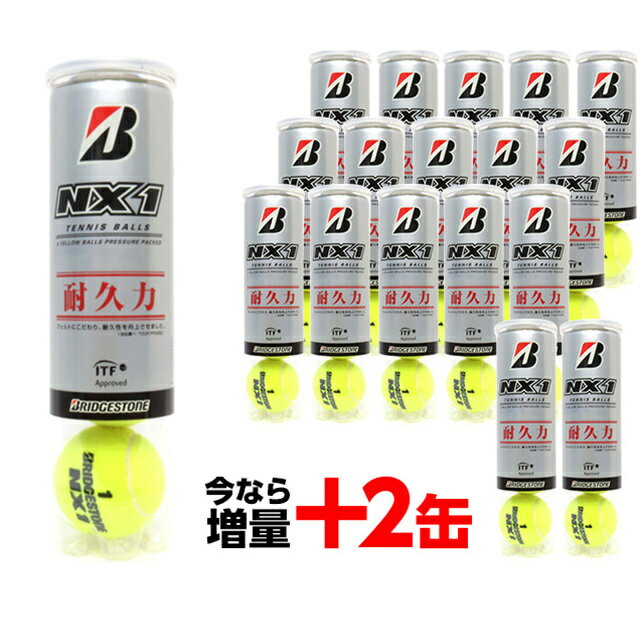 ブリヂストン　NX1 (4個PET×15缶＋2缶増量)