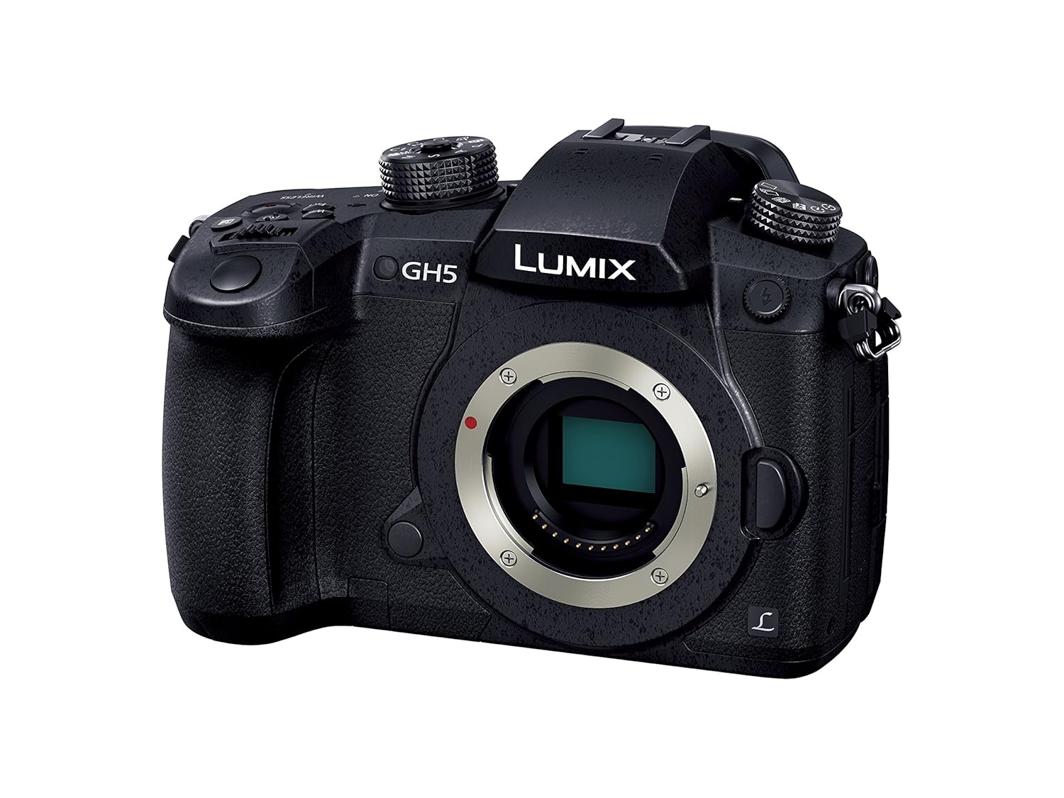 18位：Panasonic ミラーレス一眼カメラ ルミックス GH5 ボディ ブラック DC-GH5-K