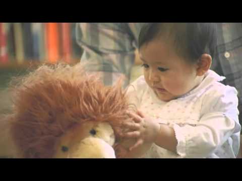 amazon ライオン ゴールデンレトリーバー　続き - YouTube