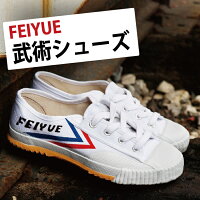 カンフー シューズ　FEIYUE