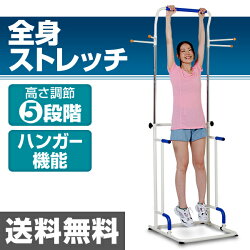 スマイル(SMILE)  ぶらさがり健康器プラスワン  SE1209 