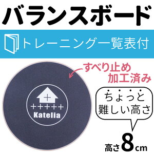 バランスディスク ツイストボード