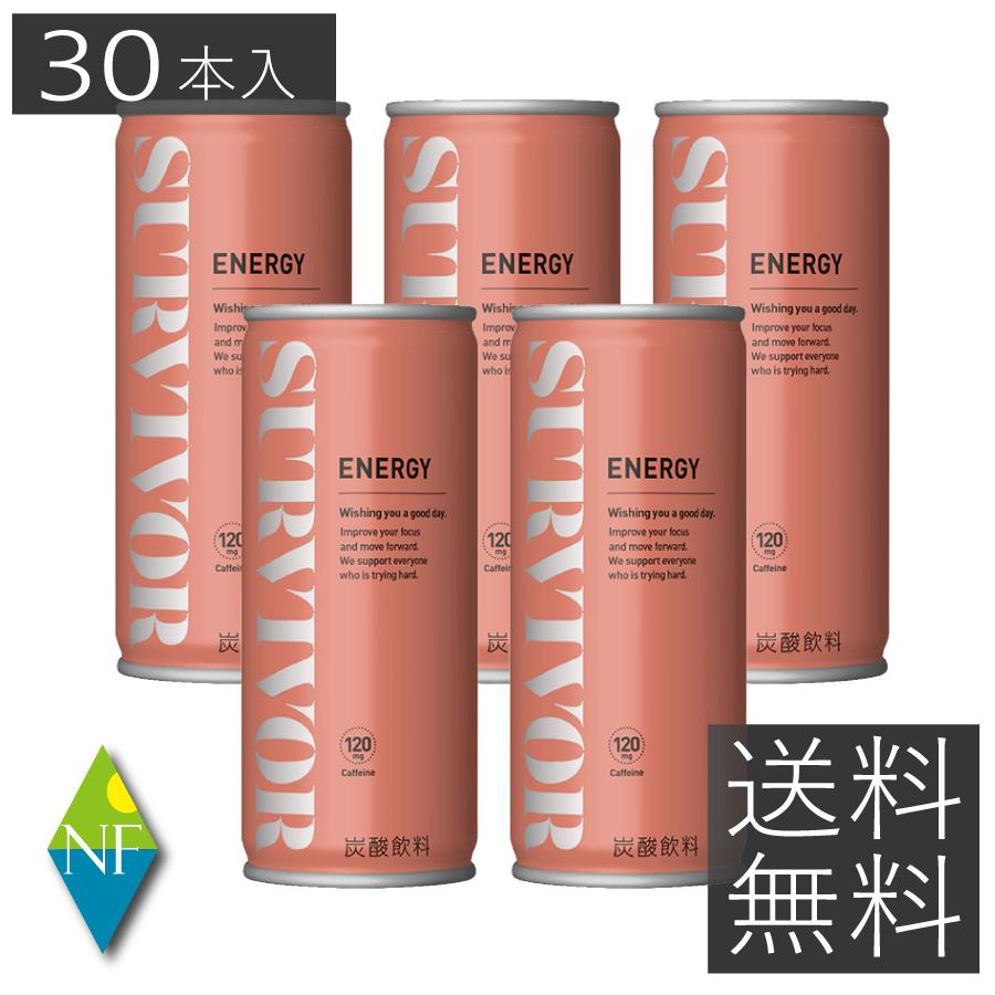 4位：富永食品 サバイバー エナジードリンク 250ml×30本
