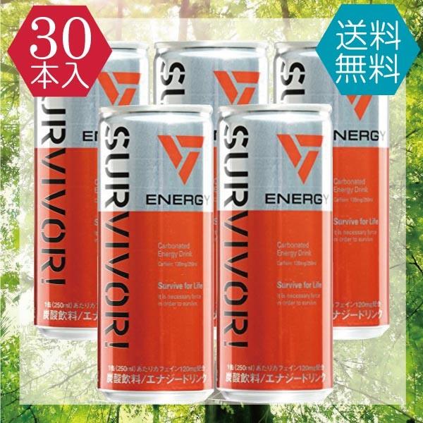 4位：富永食品 サバイバー エナジードリンク 250ml×30本