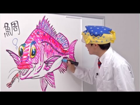 「さかなクンのお魚図鑑～マダイ編～」 - YouTube