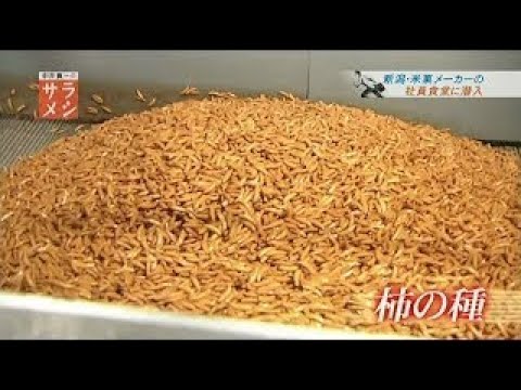 『 社食の一番 ”新潟・大手米菓メーカーの社員食堂に潜入” 』 - YouTube