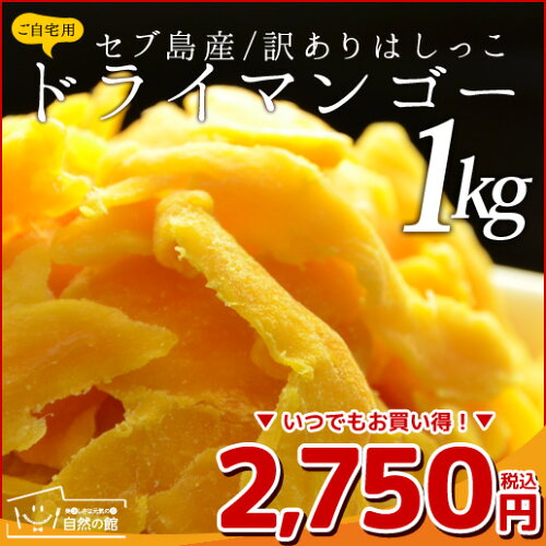 訳あり セブ島 ドライマンゴー1kg(500g×2) 