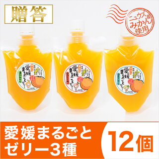 18位　愛媛まるごとゼリー3種12個(175g×12個) 