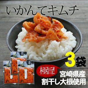 『いかんてキムチ』110g×3袋セット