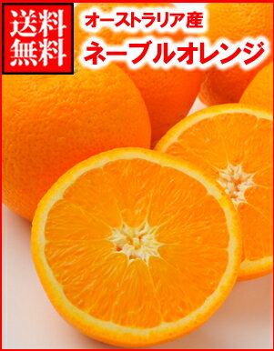 12位　オレンジ