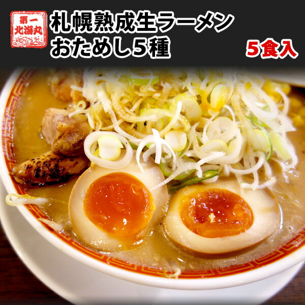 6位　ラーメン ５食セット 札幌熟成生麺 ５種スープ食べ比べ １０００円ポッキリ 送料無料 