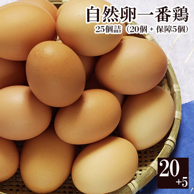 16位　自然卵一番鶏「25個詰」（20個＋破損保障分5個）