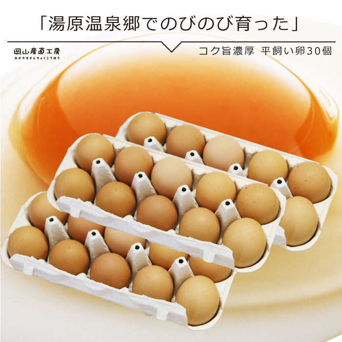 7位　コク旨濃厚　平飼い卵30個入　10個包装X3