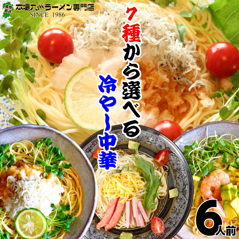 2位　本場久留米ラーメン選べるセットシリーズ さっぱり冷やし中華(冷麺)８種セットから選べる (計６食分)