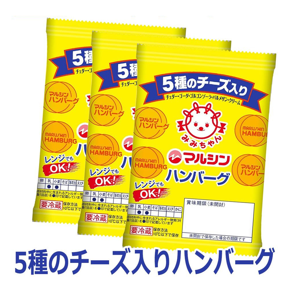 16位　マルシンフーズ　5種のチーズ入りハンバーグ　(75g×3個)×10セット