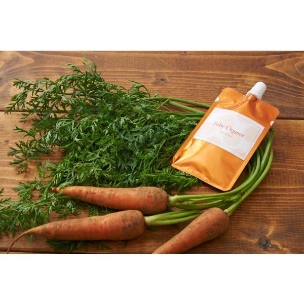 20位：有機無農薬のお野菜と手仕込み天然だしの無添加離乳食　初期から後期　BabyOrgente　Cセット