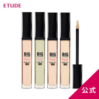 4位　エチュードハウス ETUDE HOUSEビッグカバーフィットコンシーラー