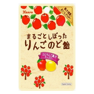 8位　カンロ 26gまるごとしぼったりんごのど飴 6入 