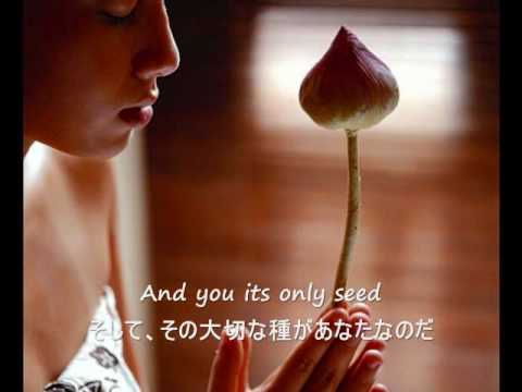 The Rose - Bette Midler (歌詞字幕）English & Japanese Lyrics - YouTube