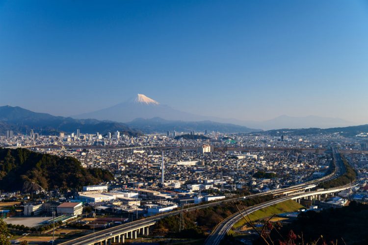 インフラが整っている静岡市と浜松市が人気