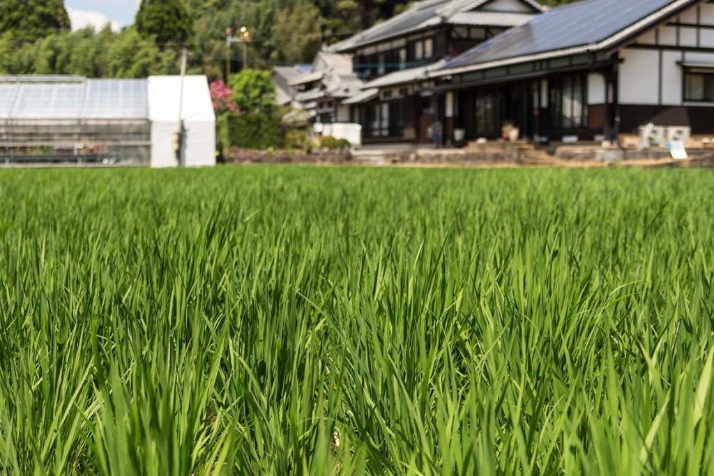 水産業や農業が盛んな新潟県