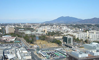 茨城県は自然の宝庫