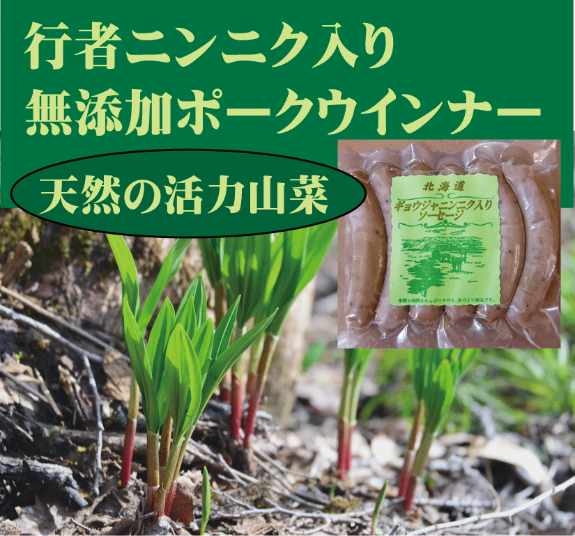 17位　安全無添加ウインナー■行者にんにく入りウインナーソーセージ２５ｇ×６本★国産