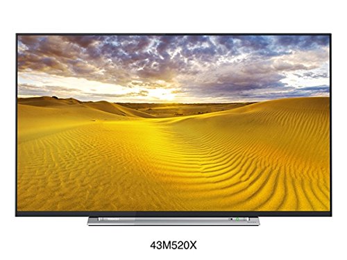 12位：東芝 43V型地上・BS・110度CSデジタル4Kチューナー内蔵 LED液晶テレビ(別売USB HDD録画対応)REGZA 43M520X