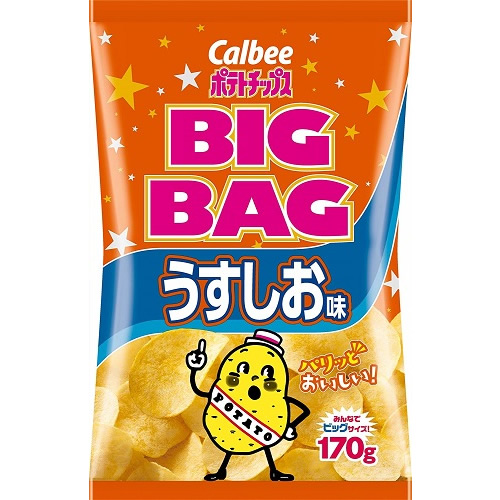 1位　ポテトチップス　ビッグバッグ　うすしお味　【170g×12個】