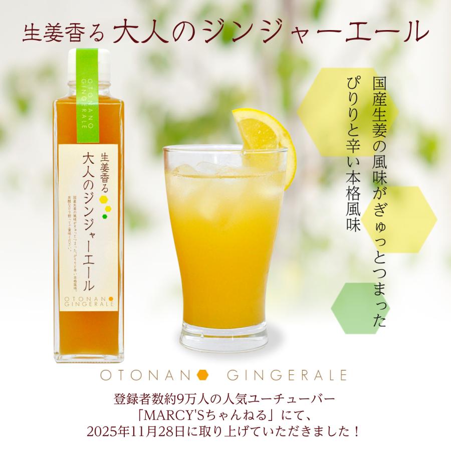 8位　大人のジンジャーエール 370ｇ 1本