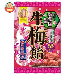 12位　リボン  生梅飴  110g×10袋入 