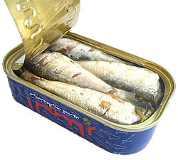 20位　チュニジア産 オイルサーディン 缶詰　1ケース（50缶入）