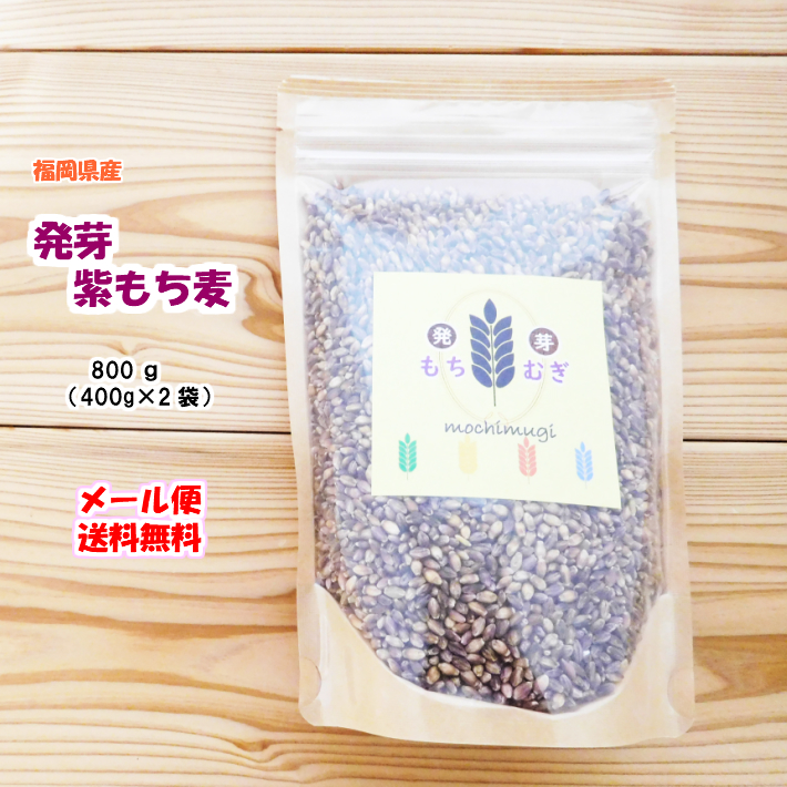 4位　紫もち麦 発芽もち麦 国産 800g