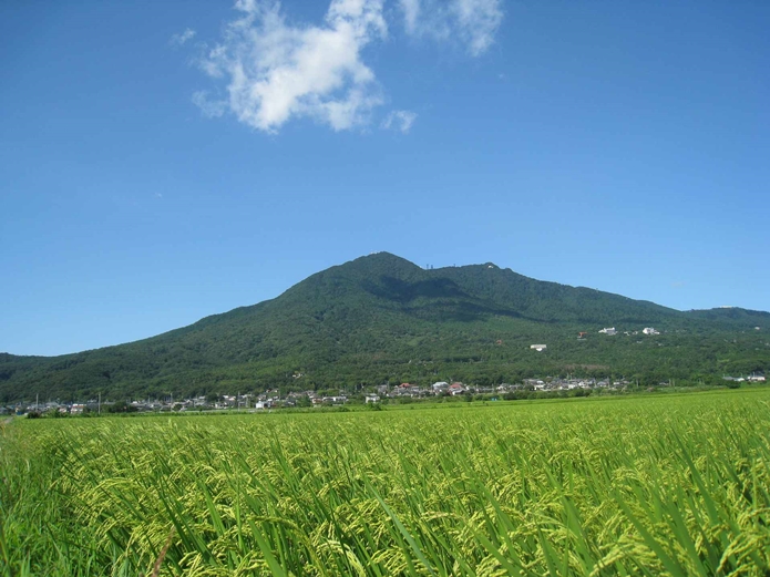 日本国内最大の学術都市