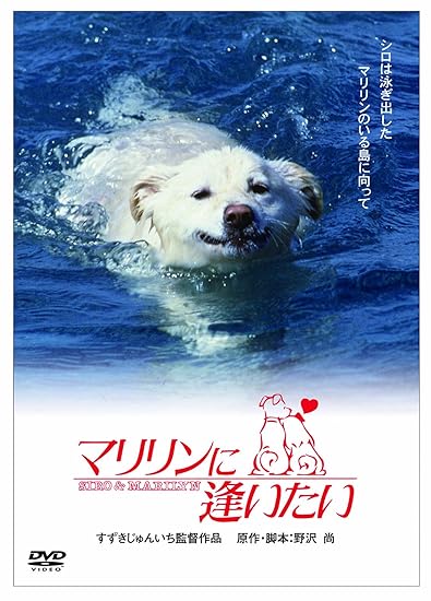 13位：松竹 ＜あの頃映画＞ マリリンに逢いたい [DVD]